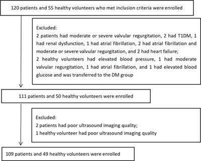 Study on the characteristics of carotid wall shear stress in type 2 diabetes patients based on ultrasound vector flow imaging